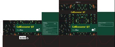 Image Of Carton (St Carton)